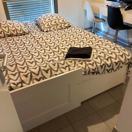 Superbe Appartement Avec Terrasse Тулуза Екстер'єр фото