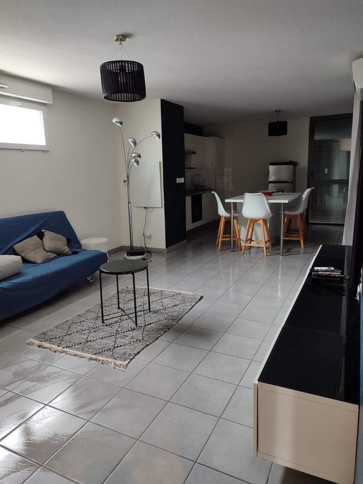 Superbe Appartement Avec Terrasse Тулуза Екстер'єр фото
