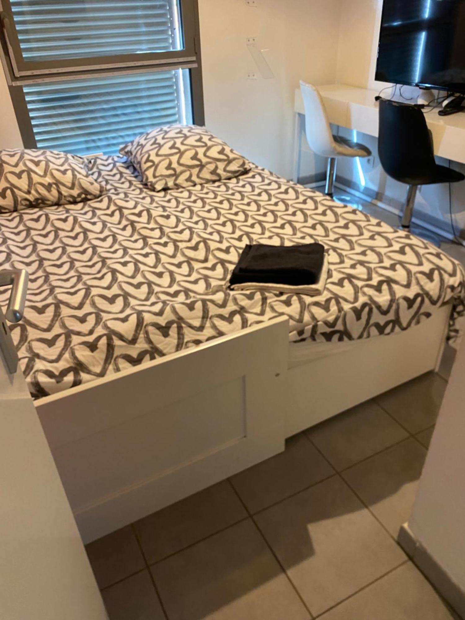Superbe Appartement Avec Terrasse Тулуза Екстер'єр фото